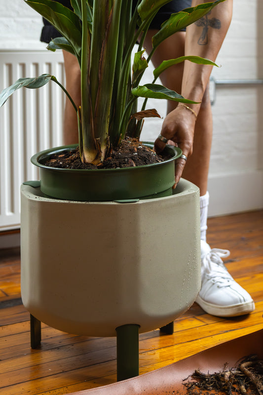 installing marly self-watering planter