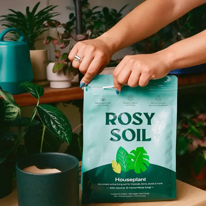 Indoor Potting Mix | 4 Quart