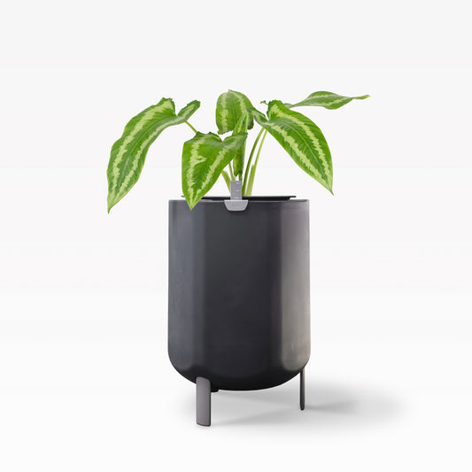 Larger Self Watering Planter