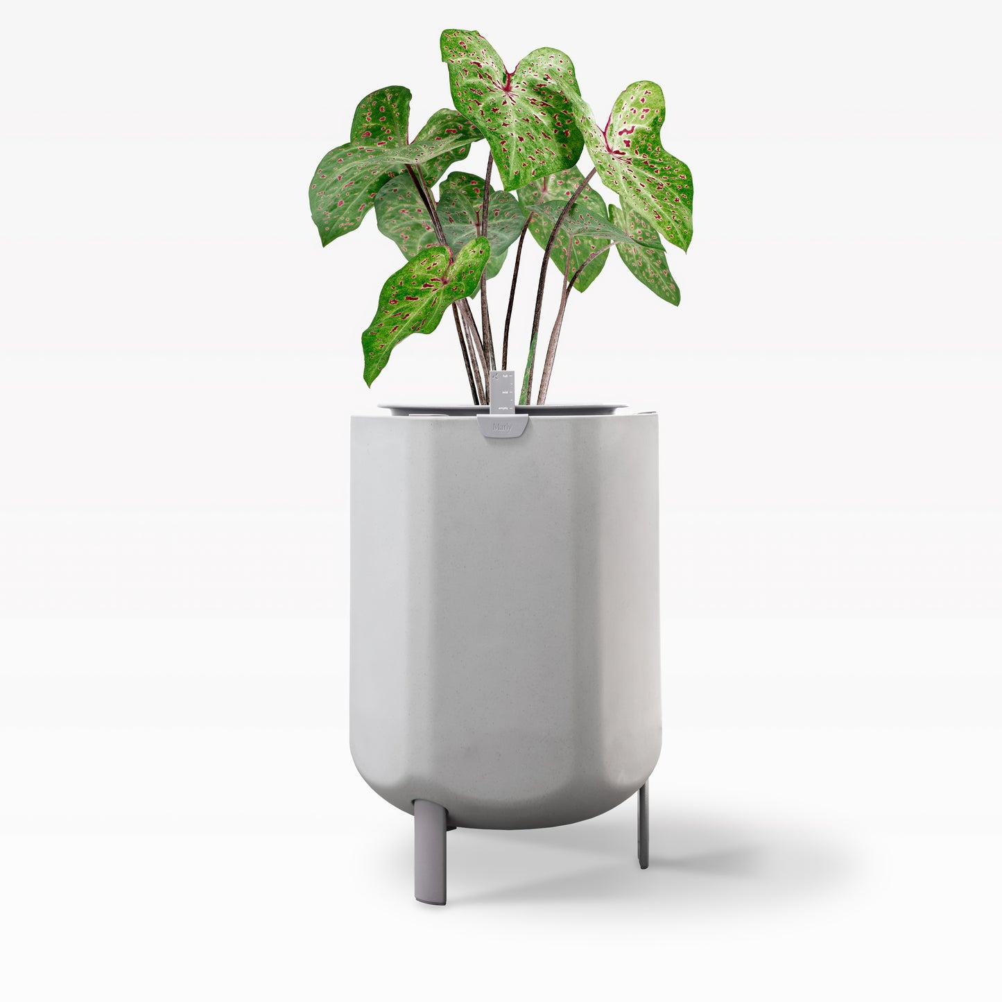 Larger Self Watering Planter