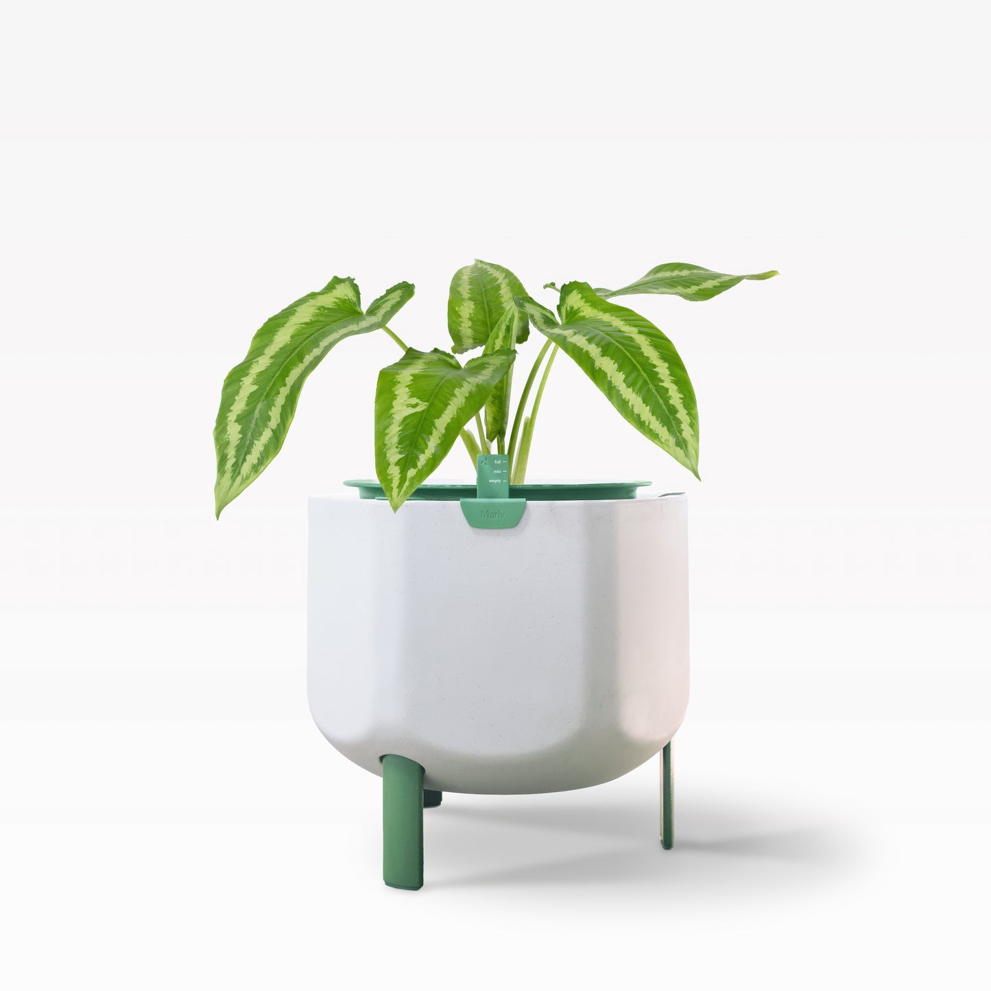 Smaller Self Watering Planter